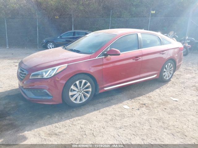 5NPE34AF4FH202231 Hyundai Sonata Sport