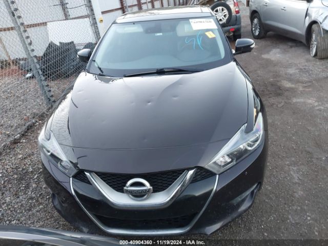 1N4AA6AP1GC380903 Nissan Maxima 3.5 Platinum