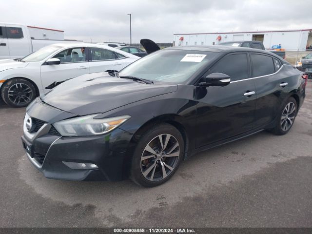 1N4AA6APXGC420167 Nissan Maxima 3.5 Platinum/3.5 S/3.5 Sl/3.5 Sr/3.5 Sv