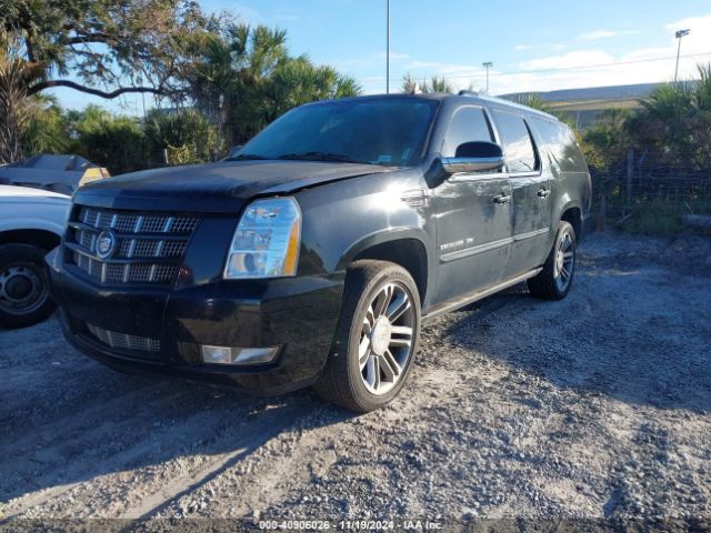 1GYS4JEF4ER240200 Cadillac Escalade Esv Premium