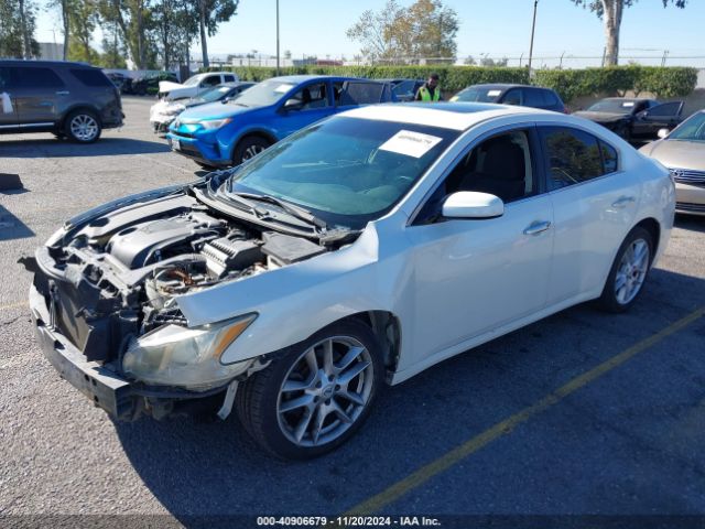 1N4AA5AP2EC461867 Nissan Maxima 3.5 S/3.5 Sv