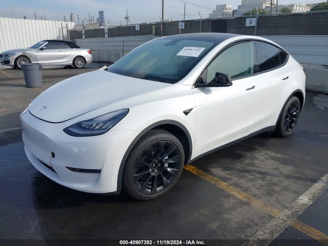Tesla 2020 2020 5YJYGDEE3LF033283 Image 2