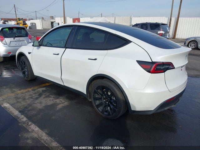 Tesla 2020 2020 5YJYGDEE3LF033283 Image 3