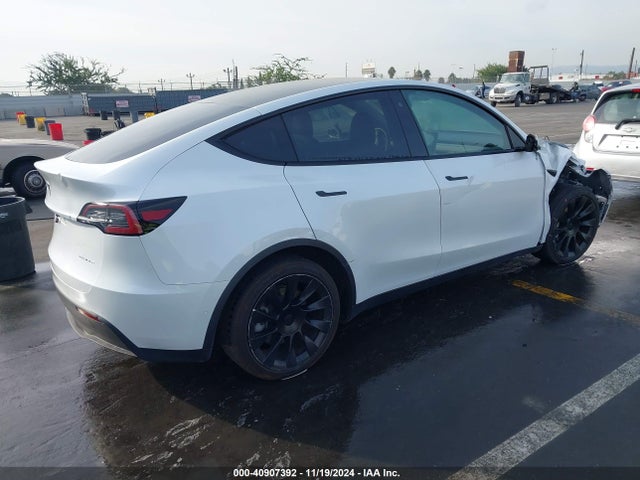 Tesla 2020 2020 5YJYGDEE3LF033283 Image 4