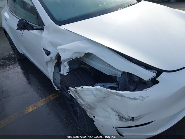 Tesla 2020 2020 5YJYGDEE3LF033283 Image 6