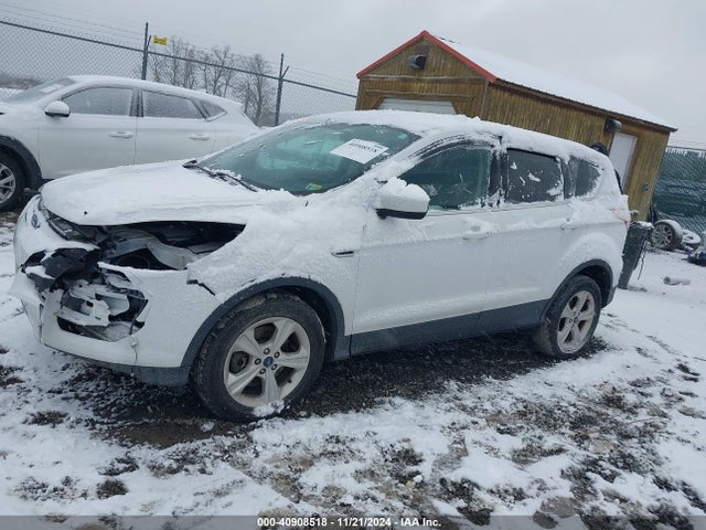 Ford ESCAPE SE 2016 1FMCU9GX2GUA68937 Image 2