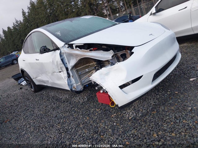 2024 TESLA MODEL Y 7SAYGDEE6RF129422 Photo 0