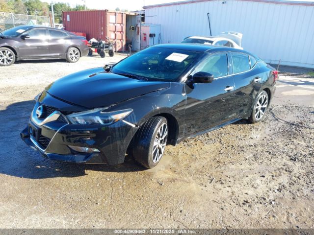 1N4AA6APXHC436824 Nissan Maxima 3.5 S
