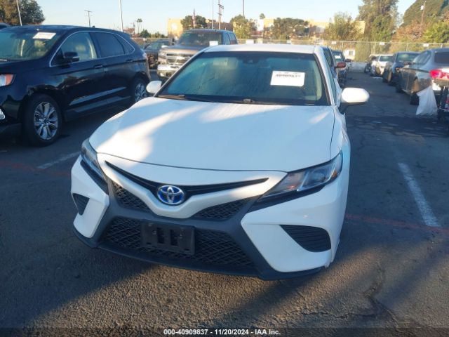4T1G31AKXLU519500 Toyota Camry Se Hybrid
