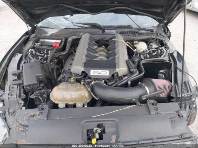 1FA6P8CF3G5254132 Ford Mustang Gt Premium