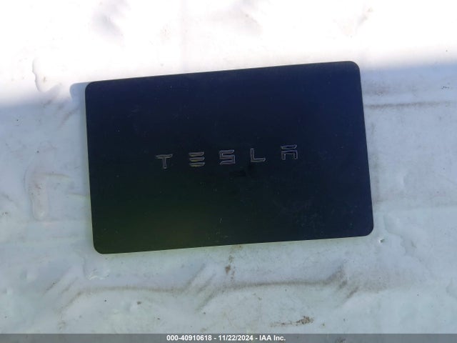 2020 TESLA MODEL 3 5YJ3E1EB3LF617039 Photo 10