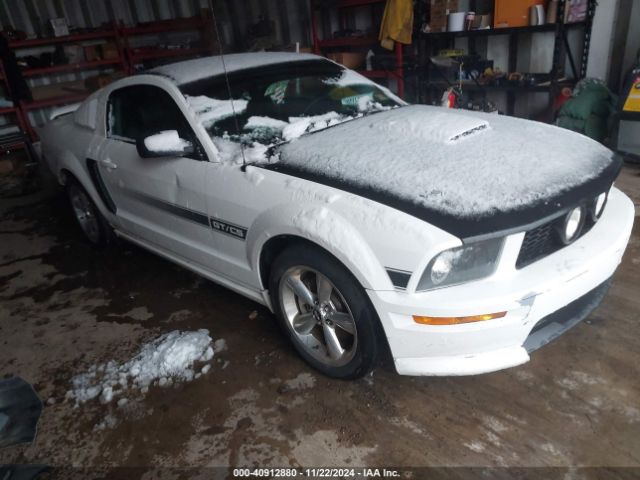 2007 FORD MUSTANG 1ZVHT82H275244013