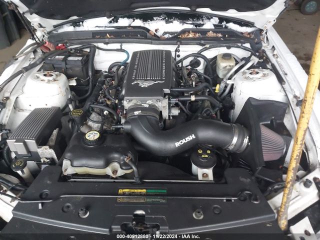 2007 FORD MUSTANG 1ZVHT82H275244013 Photo 9