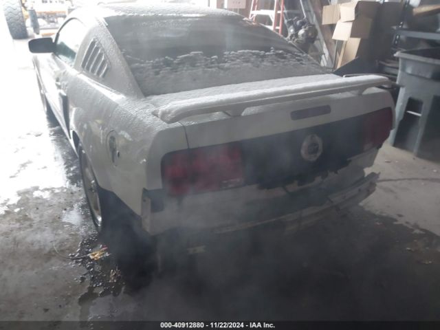 2007 FORD MUSTANG 1ZVHT82H275244013 Photo 5