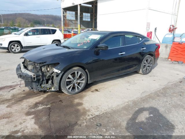 1N4AA6AP0GC906258 Nissan Maxima 3.5 S