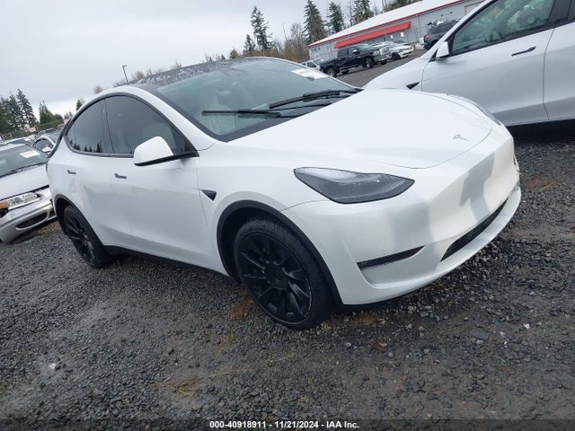 2023 TESLA MODEL Y 7SAYGDEE3PF689489 Photo 0