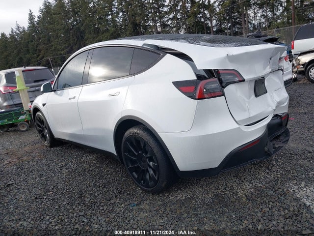 2023 TESLA MODEL Y 7SAYGDEE3PF689489 Photo 2