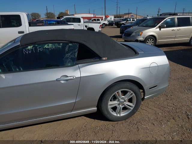 1ZVBP8EM6E5240417 Ford Mustang V6