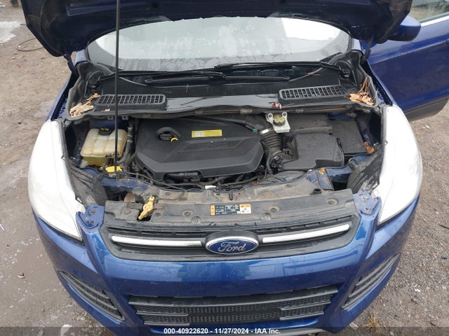 Ford ESCAPE SE 2014 1FMCU0GX0EUA44435 Image 10