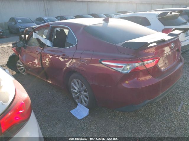 4T1B11HK7KU810881 Toyota CAMRY LE