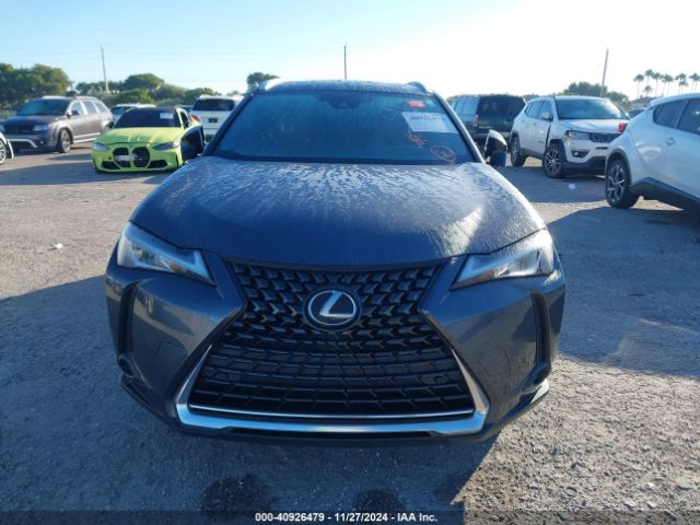 JTHX3JBH4N2055656 Lexus UX 200