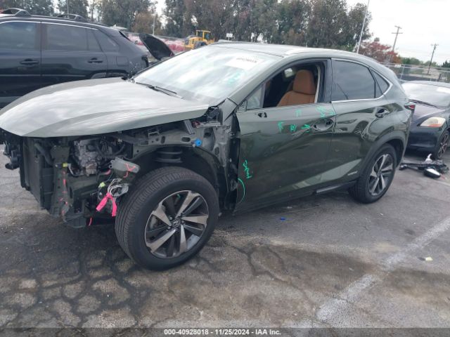 JTJGJRDZ1M2152062 Lexus NX 300H