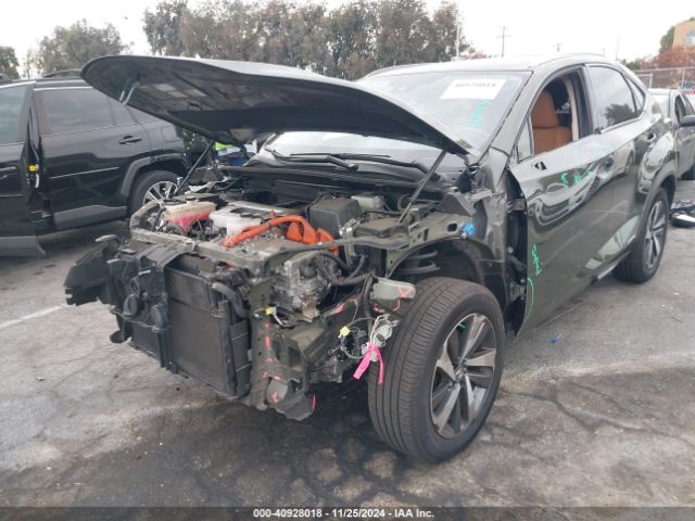JTJGJRDZ1M2152062 Lexus NX 300H