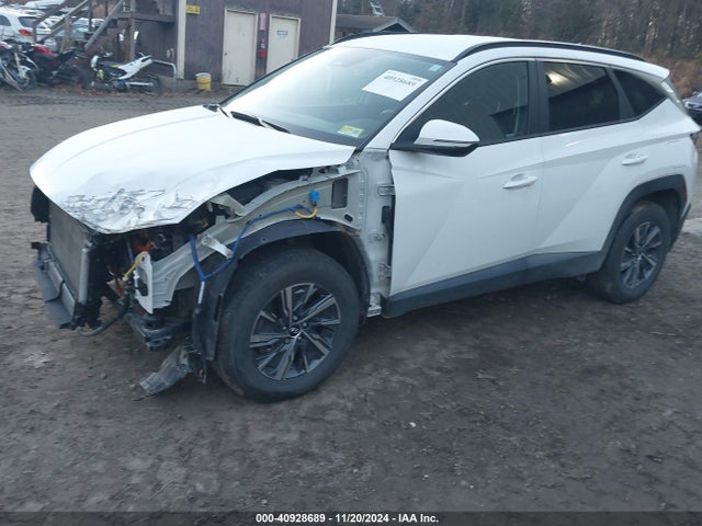 KM8JBCA15PU087027 Hyundai Tucson Hybrid Blue