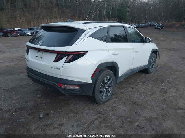 KM8JBCA15PU087027 Hyundai Tucson Hybrid Blue
