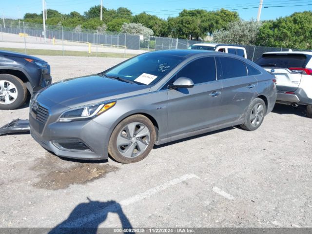 KMHE34L31HA077150 Hyundai Sonata Hybrid Limited