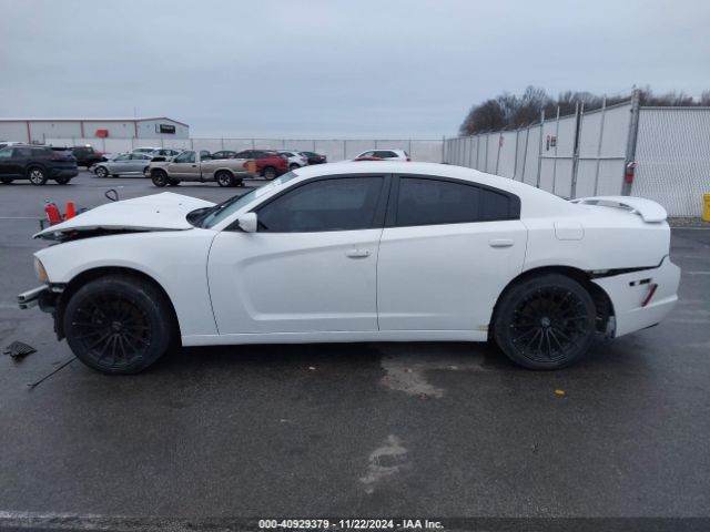 2C3CDXDT5EH124142 Dodge Charger R/t Plus