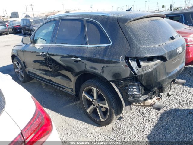 WA1D7AFP5HA038234 Audi Q5 3.0t Premium Plus
