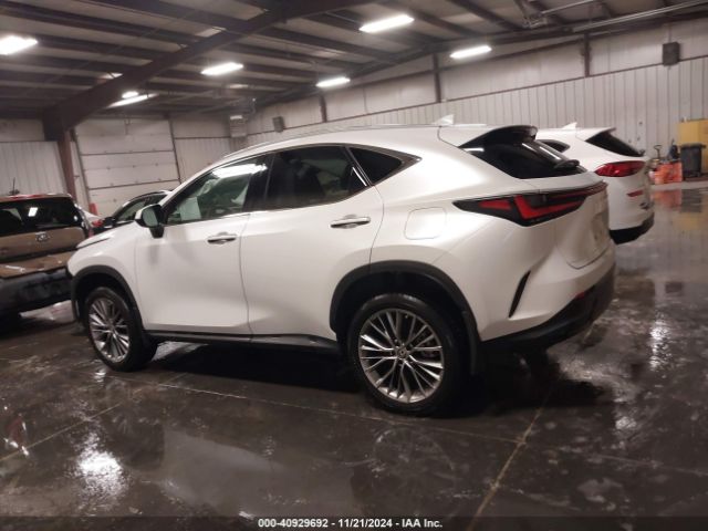 2T2HGCEZ7NC010069 Lexus Nx 350 Luxury