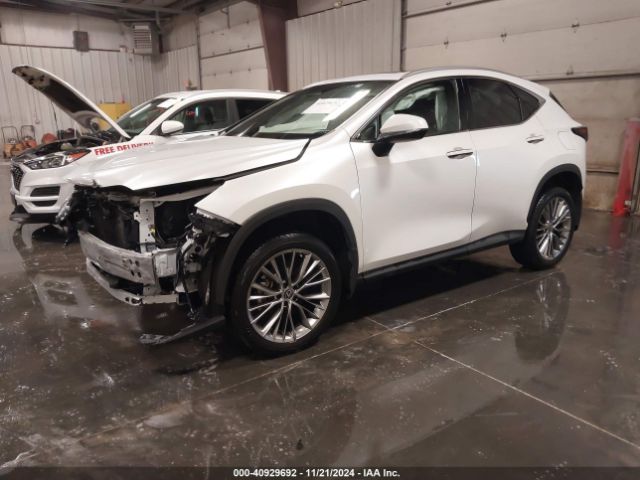 2T2HGCEZ7NC010069 Lexus Nx 350 Luxury