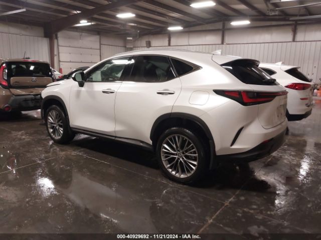 2T2HGCEZ7NC010069 Lexus Nx 350 Luxury