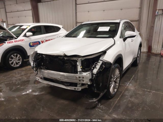 2T2HGCEZ7NC010069 Lexus Nx 350 Luxury