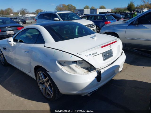 WDDPK4HA2FF098831 Mercedes-Benz SLK 250