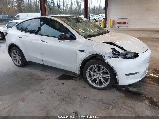 2021 TESLA MODEL Y 5YJYGDEE6MF117891 Photo 0