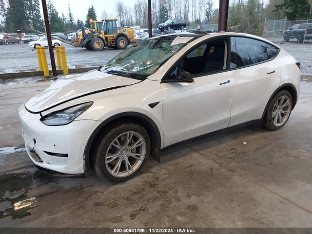 2021 TESLA MODEL Y 5YJYGDEE6MF117891 Photo 1