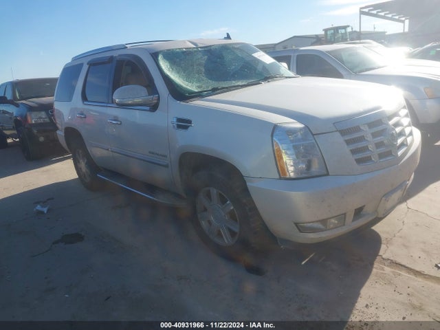 2011 CADILLAC ESCALADE 1GYS3AEF0BR186456 Photo 0
