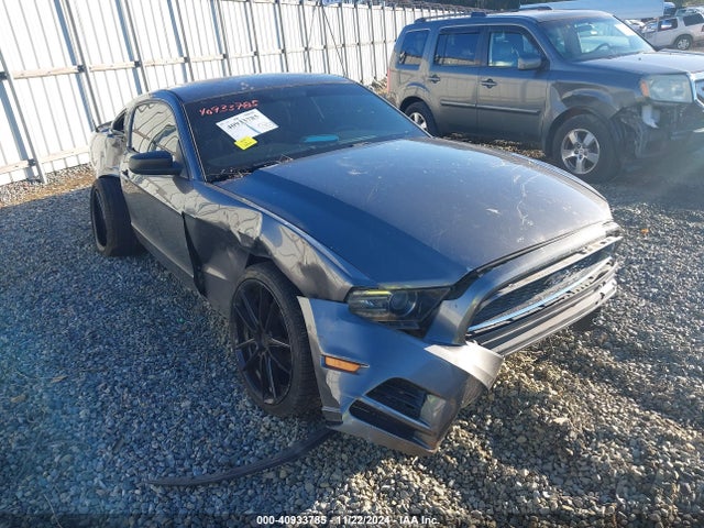 1ZVBP8AM1E5218928 Ford Mustang V6