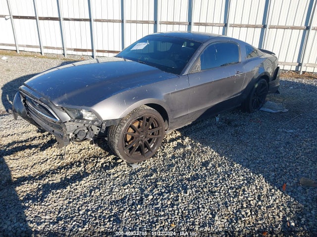 1ZVBP8AM1E5218928 Ford Mustang V6
