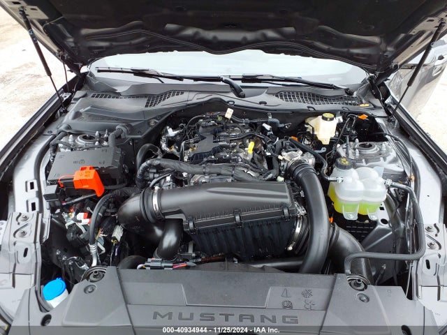 Ford Mustang Ecoboost 2024 1FA6P8TH1R5146371 Image 10