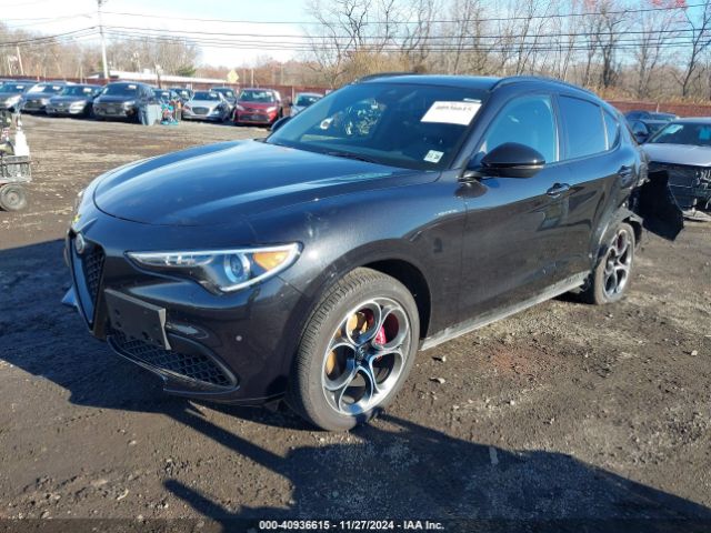 2022 ALFA ROMEO STELVIO ZASPAKBN2N7D25657 Photo 1