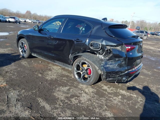 2022 ALFA ROMEO STELVIO ZASPAKBN2N7D25657 Photo 2