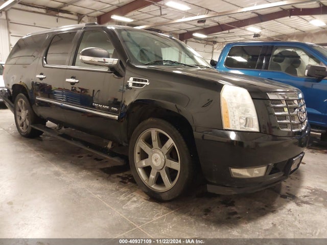 2010 CADILLAC ESCALADE ESV 1GYUKJEF5AR159473 Photo 0