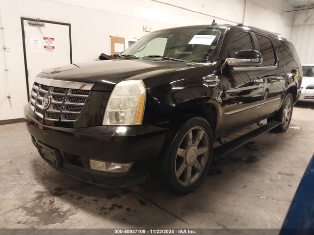 2010 CADILLAC ESCALADE ESV 1GYUKJEF5AR159473 Photo 1