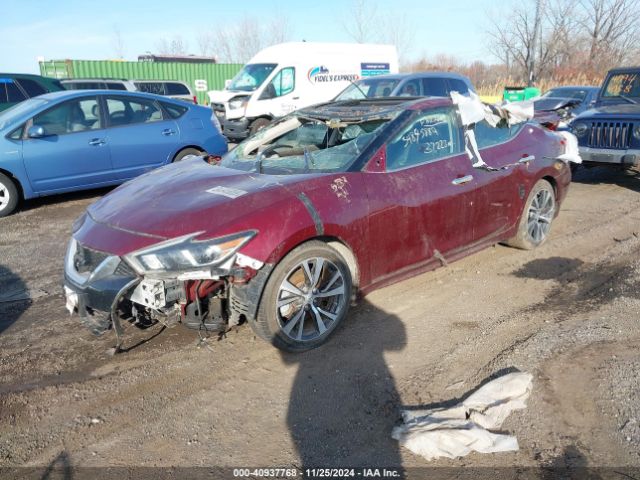 1N4AA6AP1HC392535 Nissan Maxima 3.5 Platinum
