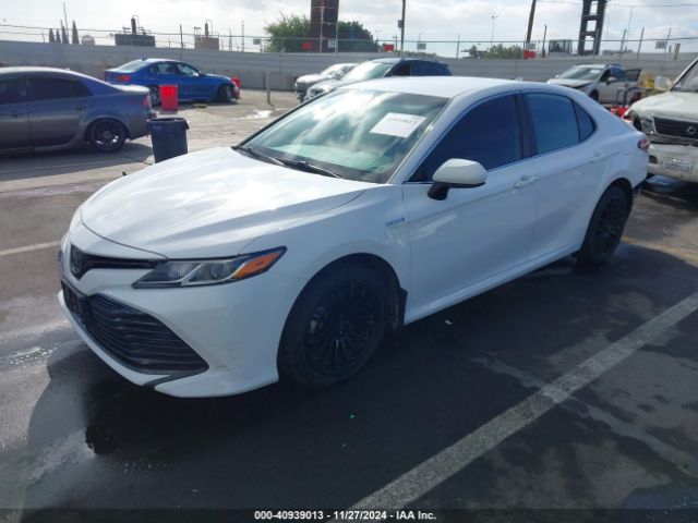 4T1B31HK5KU516230 Toyota Camry Hybrid Le