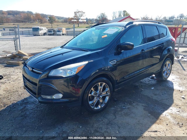 Ford ESCAPE SE 2014 1FMCU0GX7EUC19361 Image 2